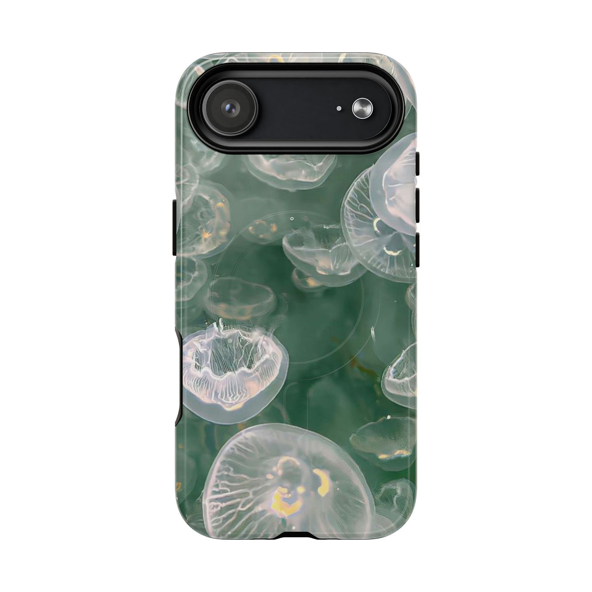 Jellyfish