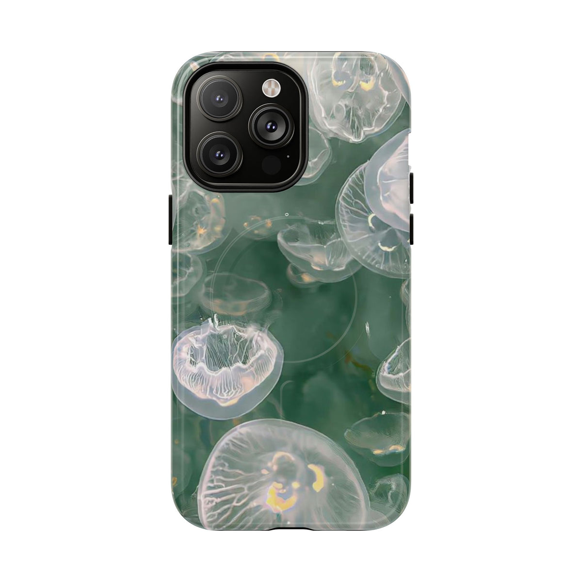Jellyfish