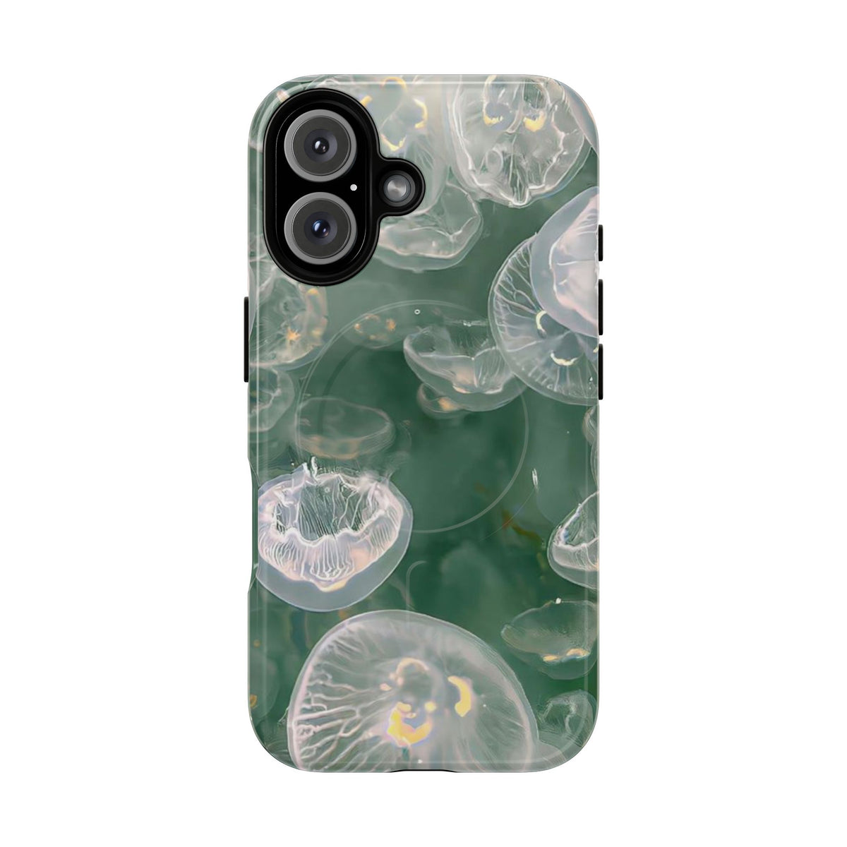 Jellyfish