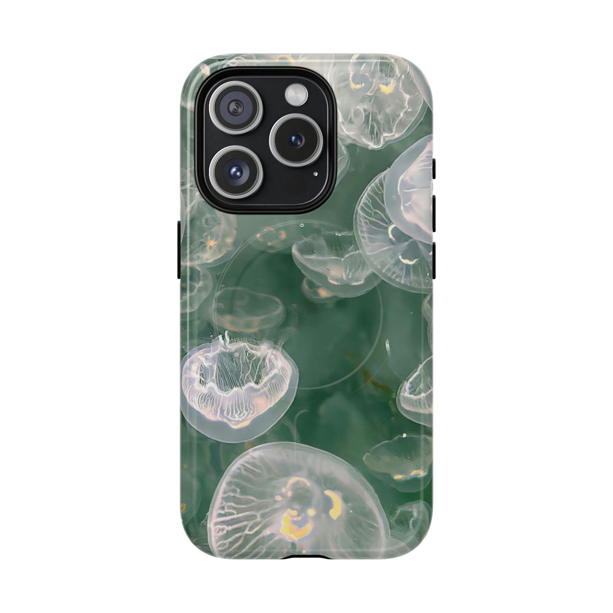 Jellyfish