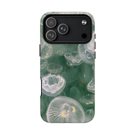 Jellyfish