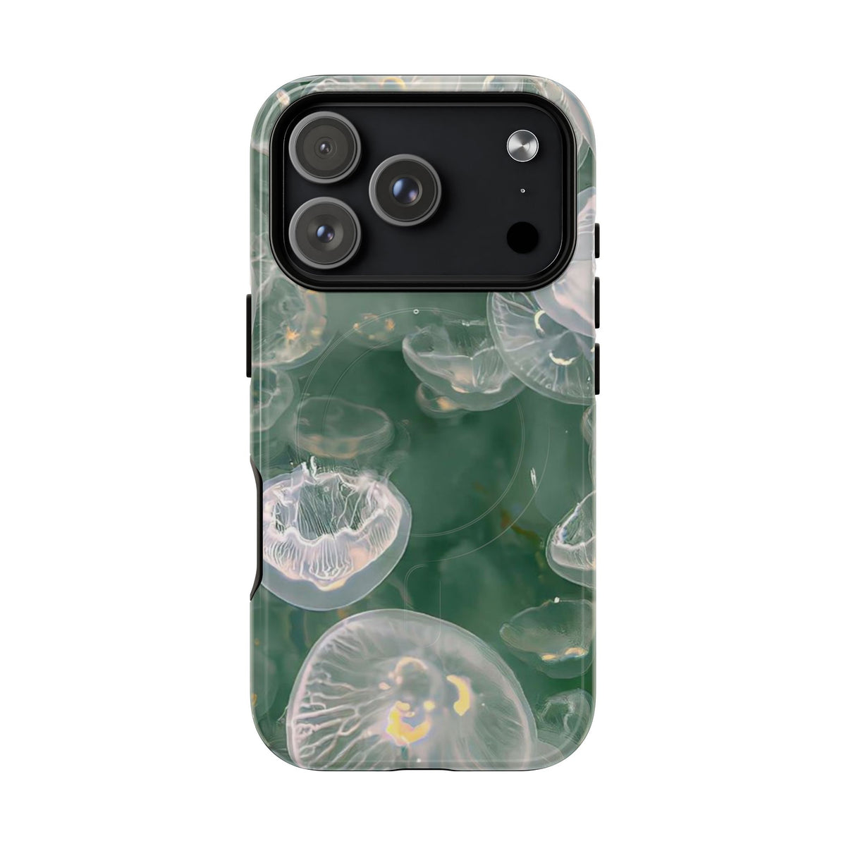 Jellyfish