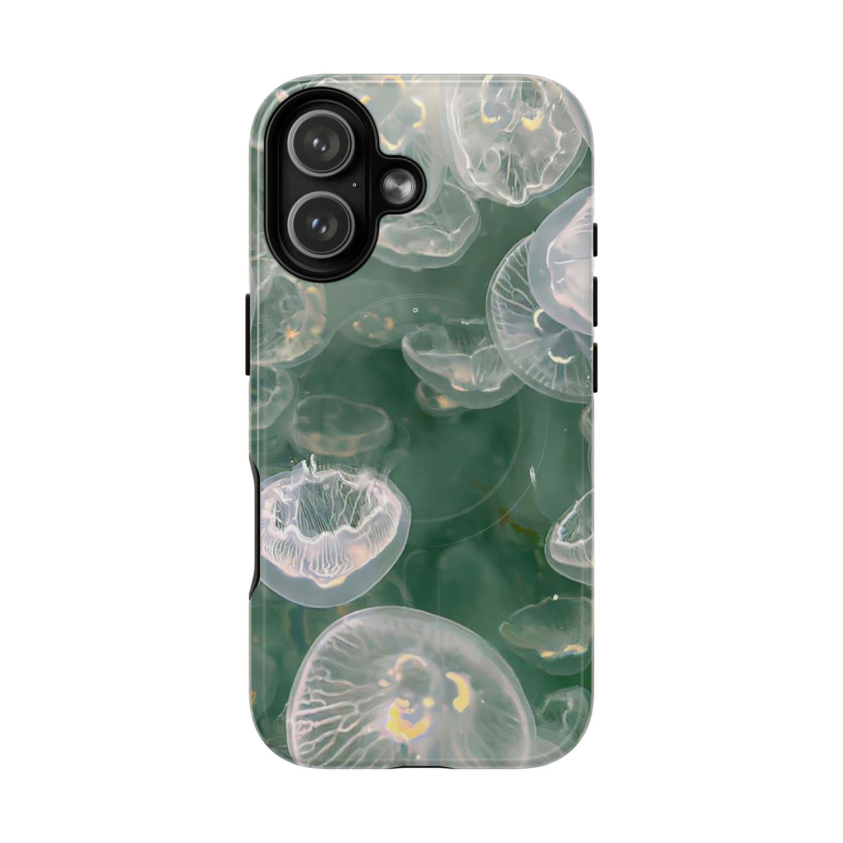 Jellyfish